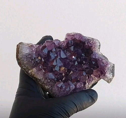 Minerali drusa di ametista - -,