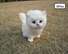 simpatico giocattolo gatto