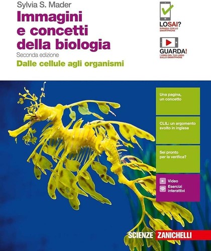 Immagini concetti della - e,
