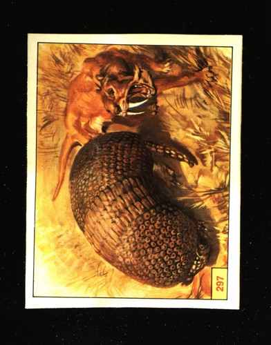 Animali preistorici - preistorici, (1974)