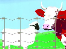 Rete Recinzione 50 mt