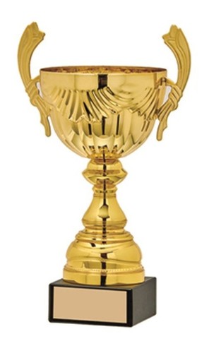 Trofeo coppa personalizzato - trofeo,