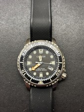 Citizen® Eco™ Promaster