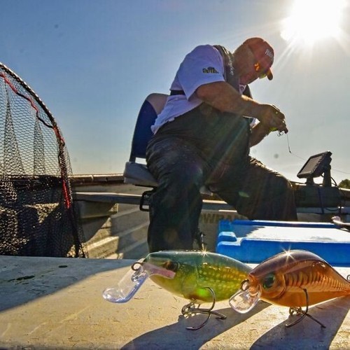 Esca legno rapala supershad - rapala,