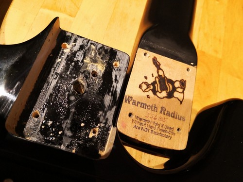 Warmoth con licenza - , fender