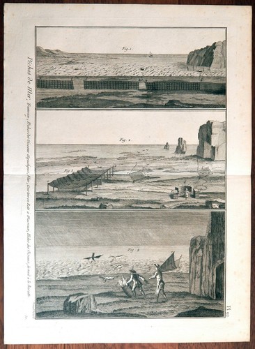 Stampa antica 1789 pesca - 1789, mare
