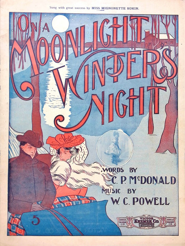 Moonlight winter s night - moonlight, winter's