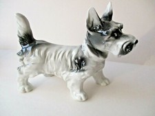 Cane Schnauzer, Terrier, in