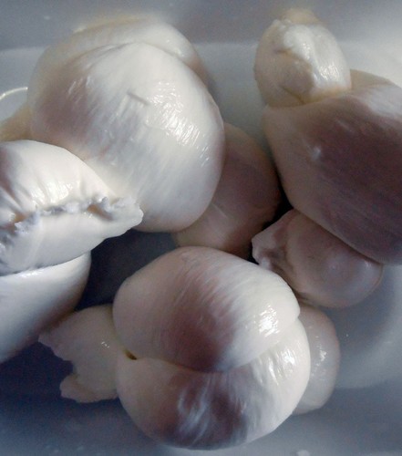 1kg nodini mozzarella - fior, di