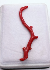 Ramo grezzo grezzo corallo