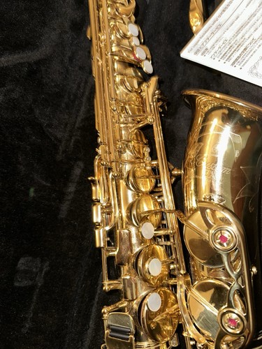 Yamaha yas 875ex custom - yamaha, ex