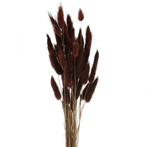 Fioristica secca erba