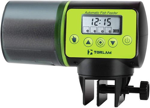 Timer automatico pesci