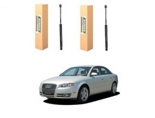 Pistoncini Molle a GAS