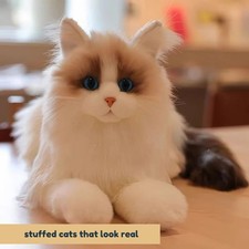 Peluche gatto - ,