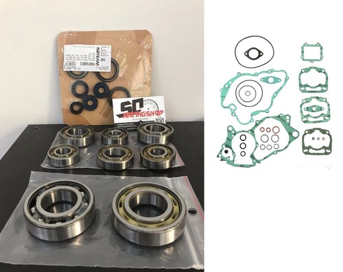 Skf kit revisione blocco - revisione,