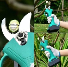 Forbice da Potatura a Batteria