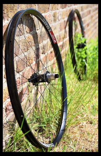 Mozzi mtb xm481 disco - dt,