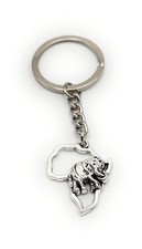 Elefante Africa Mappa Animale