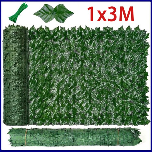 10x siepe visiva edera - 1-10x,