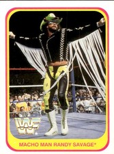 card wwf wrestling merlin 1991