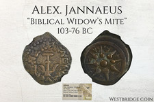 Acaro biblico della vedova •