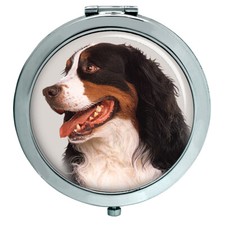 Cane Bovaro Del Bernese