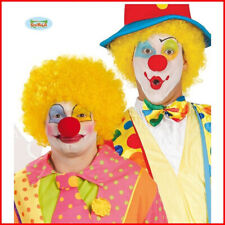 Parrucca Di Carnevale Da Clown