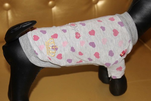 6862_Angeldog_Abbigliamento