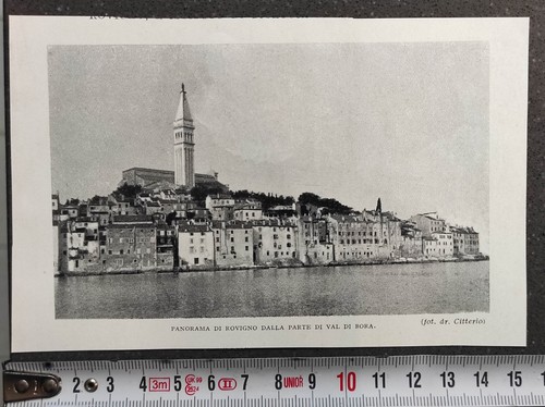 Rovigno rovinj istria panorama - rovinj,