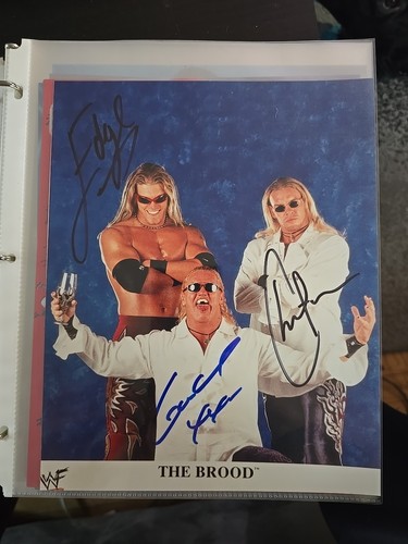 The brood edge gangrel - the,