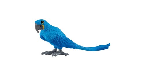Giacinto wild life ara 14859 - life,