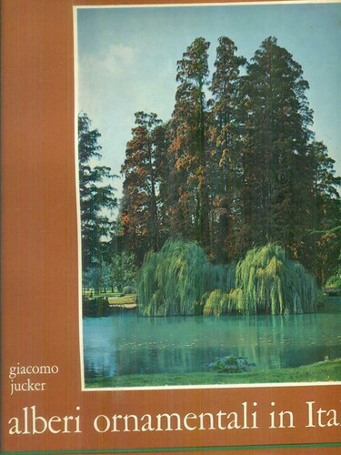 Alberi ornamentali italia - alberi,