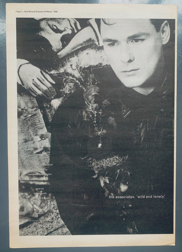 The associates 1990 print - associates,