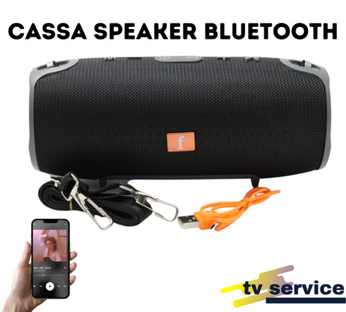 Speaker cassa amplificata - cassa,