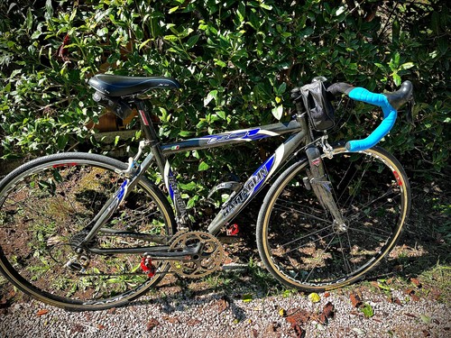 Bici corsa carbonio - bici, in