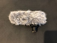 Canon DM-100 Directional
