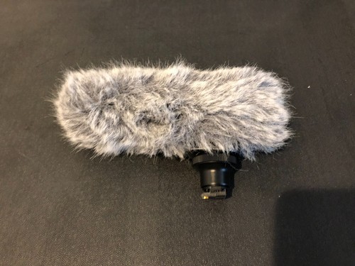 Canon 100 microfono - dm-100, stereo