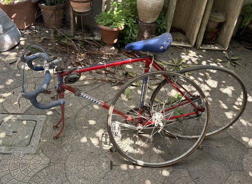 Bici corsa època - bici, d'època
