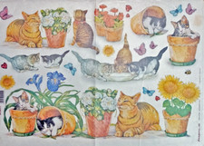 CARTA DI RISO DA  DECOUPAGE FORMATO CM. 35 X 50  GATTINI  DFS017 STAMPERIA