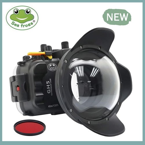 Seafrogs 40m 130ft - seafrogs, 40m/130ft