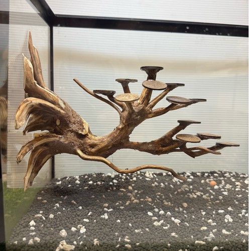 Driftwoods per acquario - driftwoods,