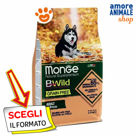 Monge dog bwild - dog, grain