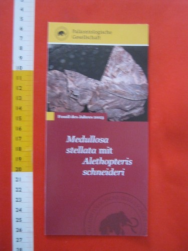 X4a depliant fossil - depliant,