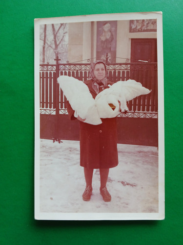 Foto epoca romania gemelli - d'epoca,