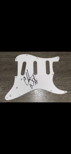 Battipenna chitarra elettrica