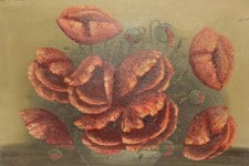 Antico dipinto ad olio natura