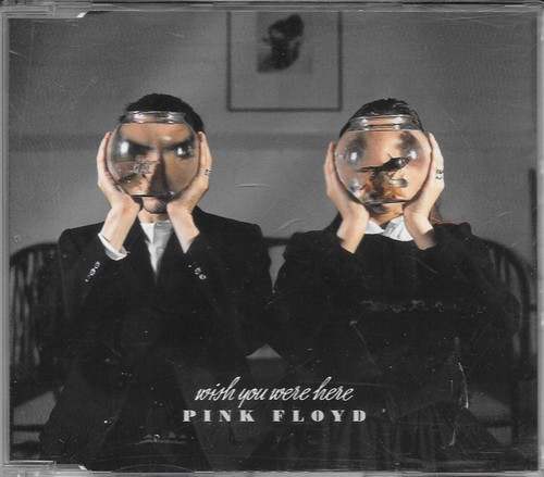 Pink floyd raro - floyd, cds