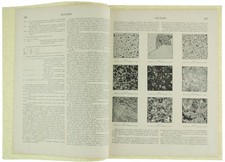 ACCIAIO. Stralcio. - Autori vari. - Treccani, Enciclopedia Italiana, - 1929