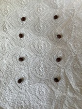 8 semillas de Washingtonia